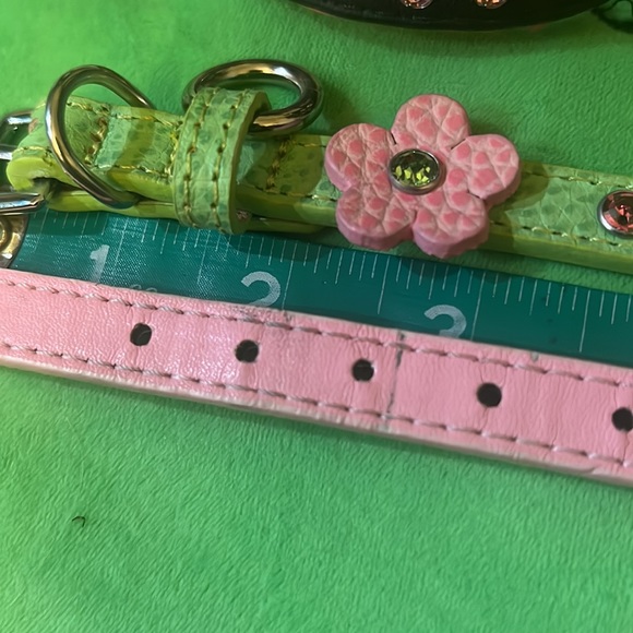 Dog collar lot - Picture 5 of 7